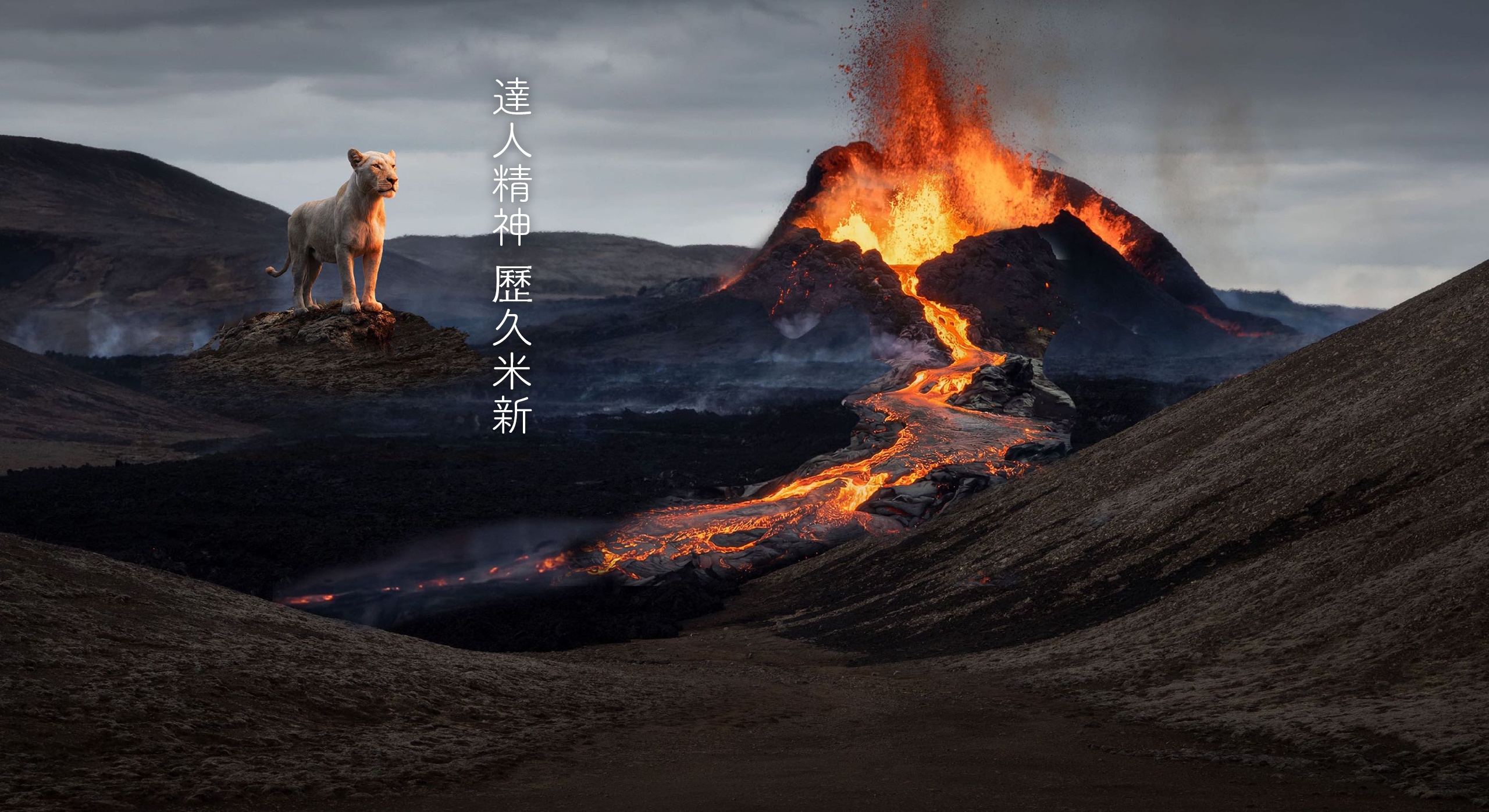 da gang xin brand story rousing 03