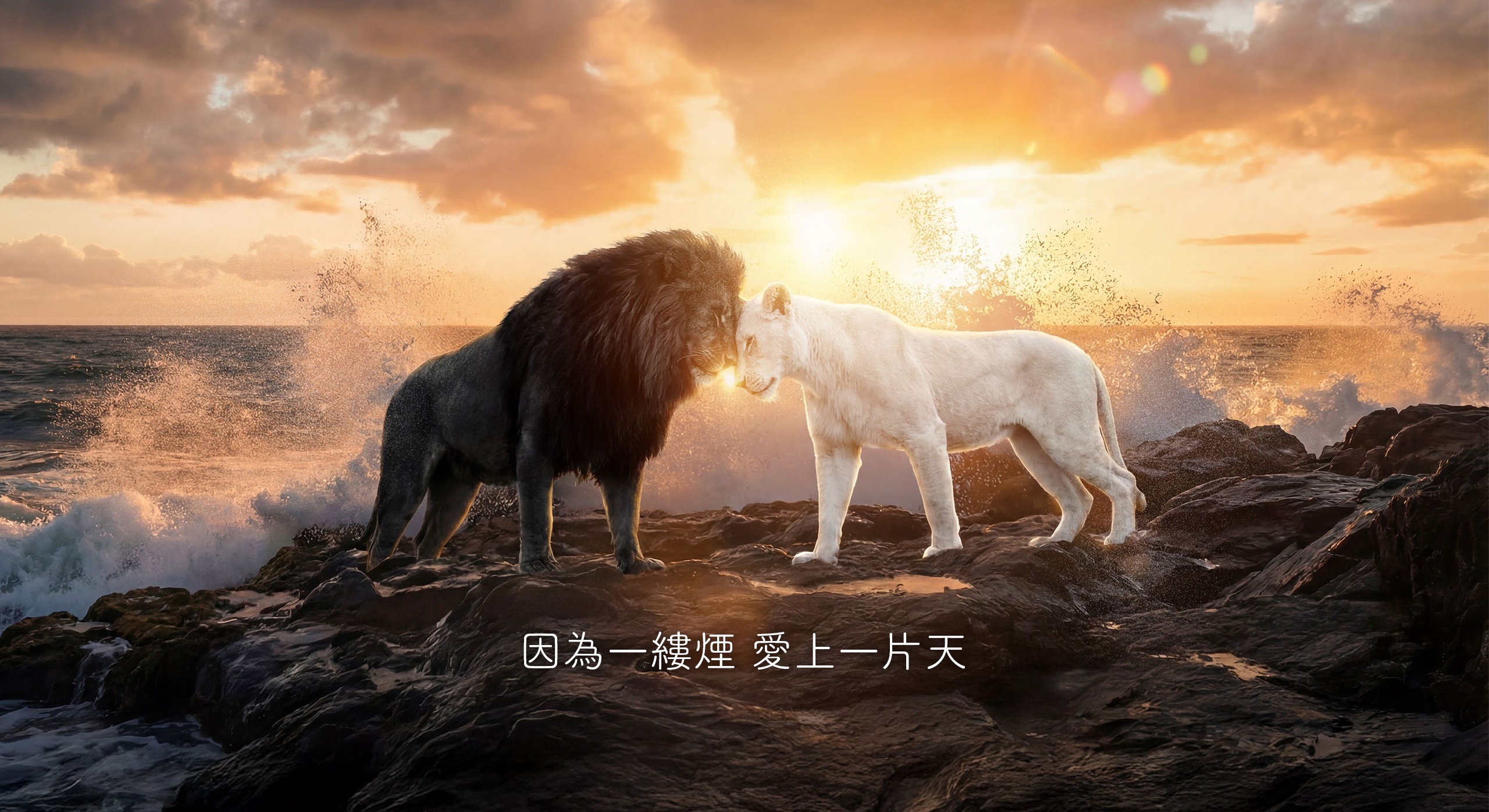 da gang xin brand story rousing 04