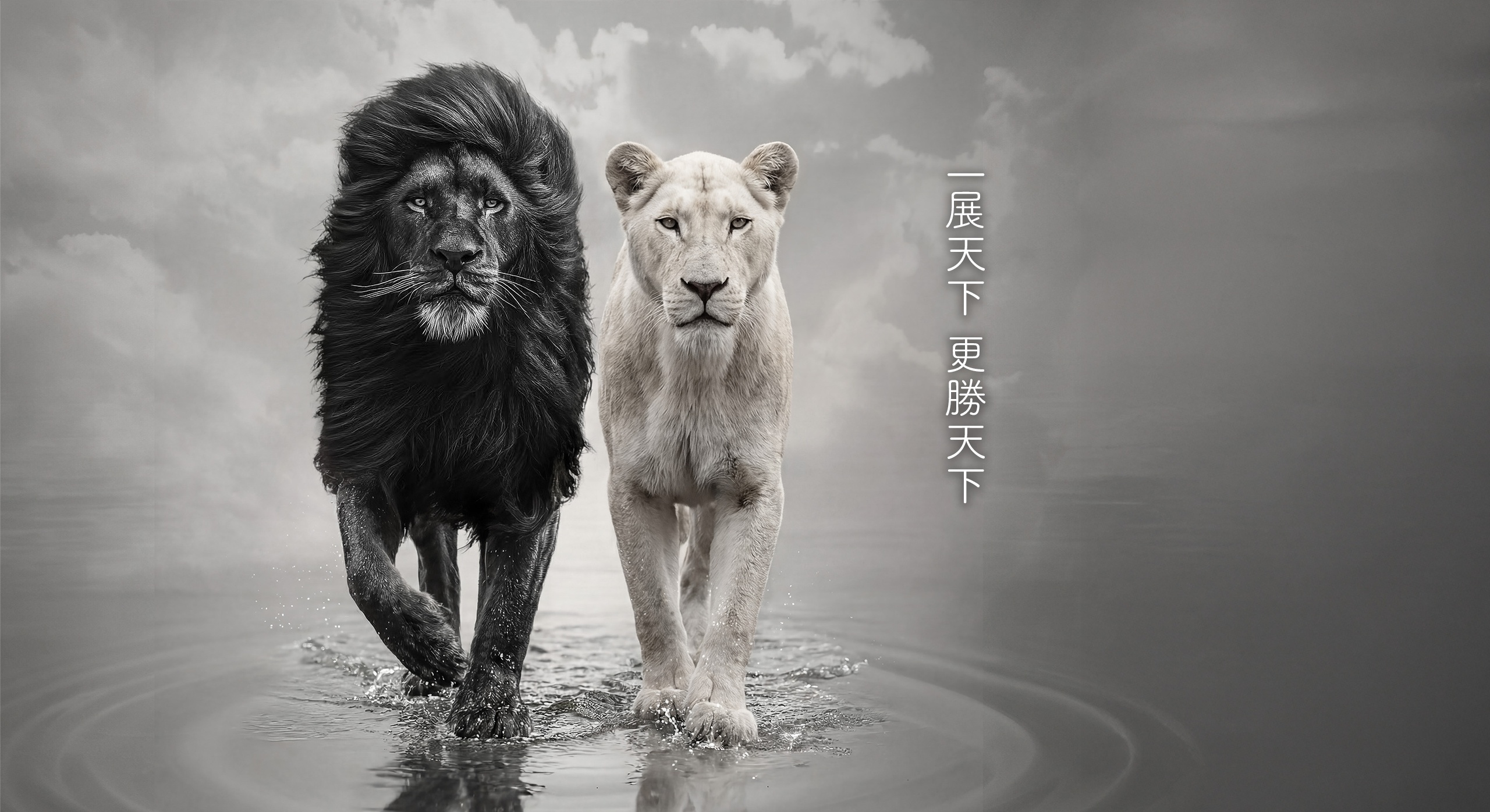 da gang xin brand story rousing 05